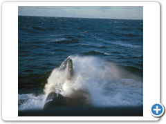 10 - Operations in Gulf Of Maine